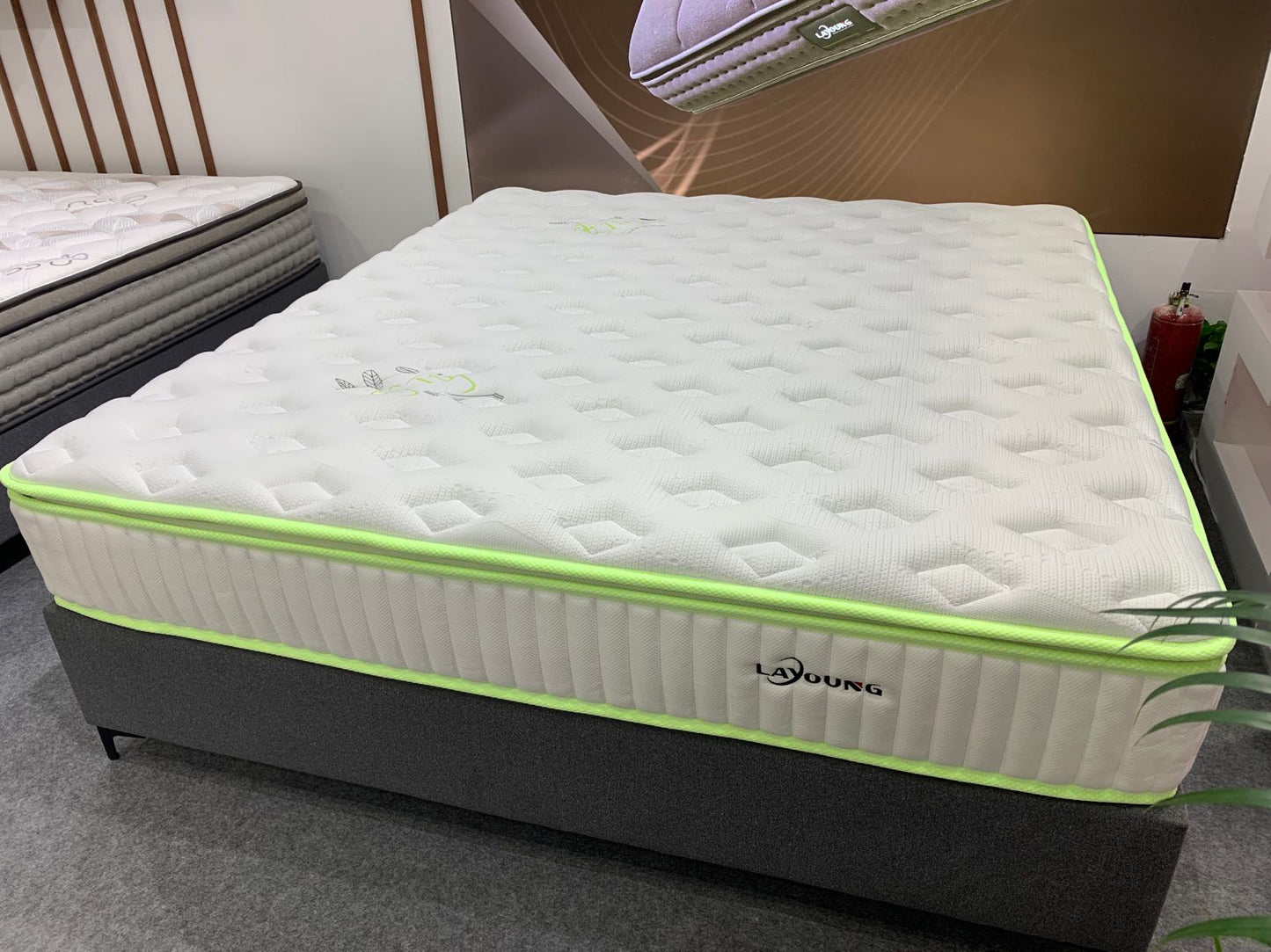 LAYOUNG mint 3D Fabric Mattress with Pocket Sprung,28cm,for Maintaining Superior Ventilation,roll packing  100PCS OEM ODM